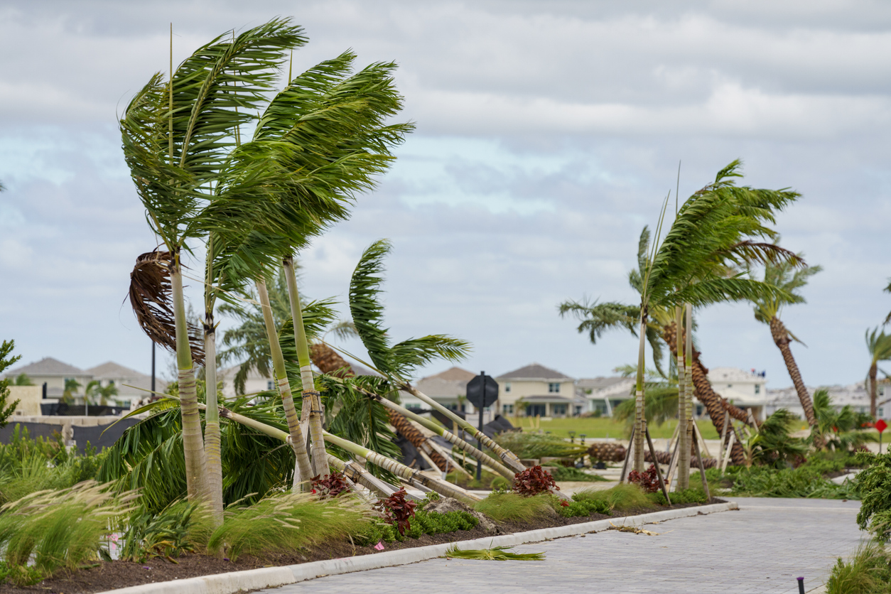 Hurricane Damage